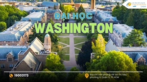 Đại học Washington: Thông tin chi tiết và hướng dẫn săn vé máy bay chi tiết