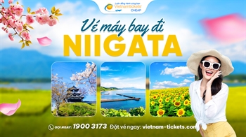 Vé máy bay đi Niigata RẺ NHẤT TỪ 148 USD | LỊCH BAY MỚI NHẤT 2024