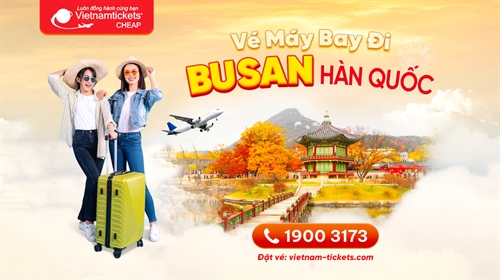 Vé máy bay đi Busan giá rẻ chỉ từ 53 USD | Đặt vé ngay