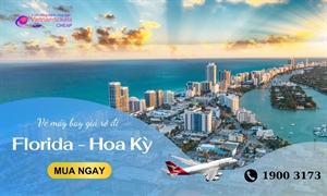 Mua ngay vé máy bay đi Florida SIÊU RẺ chỉ 315 USD