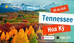 Đặt vé máy bay đi Tennessee rẻ nhất chỉ từ 445 USD