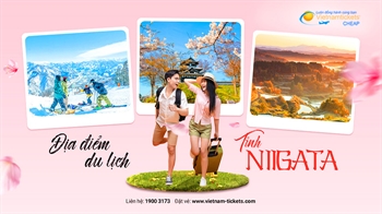 10 Địa Điểm Du Lịch Niigata Sở Hữu Vẻ Đẹp Say Đắm Lòng Người