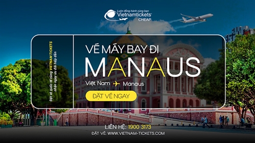 Vé Máy Bay đi Manaus Bay Đến Bến Cảng Miền Bắc Brazil Giá Tốt