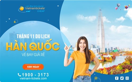 Đắm mình trong mùa thu với Vé Máy Bay đi Hàn Quốc tháng 11 Giá Rẻ Nhất | Vietnam Tickets