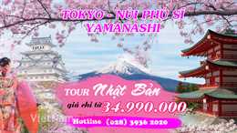 Tour Tokyo - Núi Phú Sĩ - Mùng 2 - 4n3đ