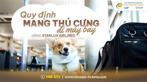 Quy định mang thú cưng đi máy bay | Hãng Starlux Airlines