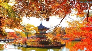 Du lịch Hàn Quốc tháng 10 - Tháng đẹp nhất trong năm