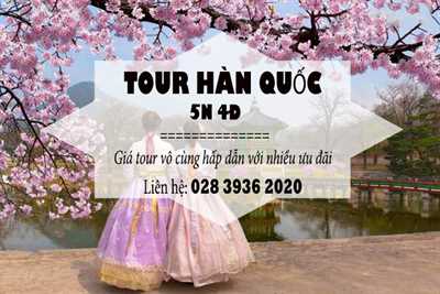 Khám phá Tour Hàn Quốc 5 ngày 4 đêm | Vietnam Tickets