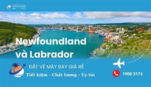 Săn vé máy bay đi Newfoundland và Labrador giá rẻ 