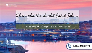 Khám phá thành phố St John's - Thành phố sắc màu tại Canada
