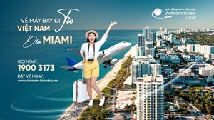 Đặt vé máy bay đi Miami giá rẻ chỉ từ 352 USD