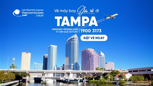 Đặt vé máy bay đi Tampa giá rẻ chỉ từ 341 USD