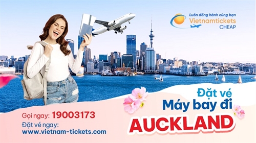 Vé máy bay đi Auckland giá rẻ nhất chỉ từ 352 USD
