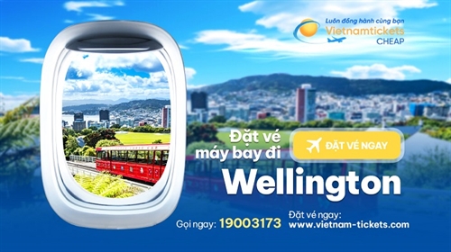Vé máy bay đi Wellington giá rẻ chỉ từ 330 USD