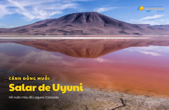 cánh đồng muối Salar de Uyuni Các hồ nước màu (The Lakes)