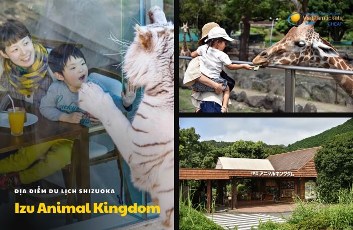 địa điểm du lịch Shizuoka Izu Animal Kingdom