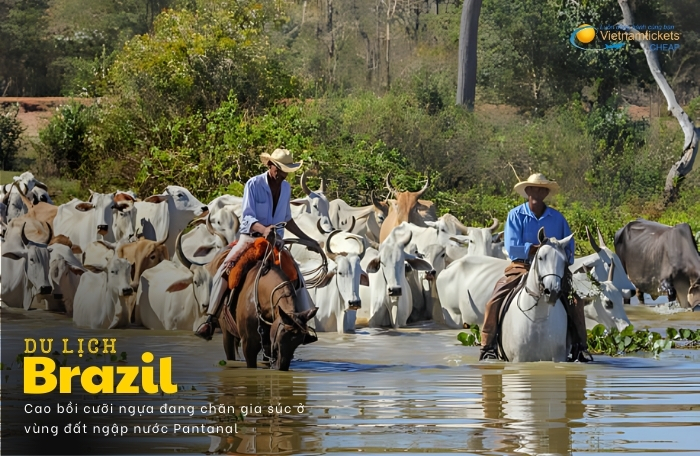 du lịch Brazil vùng Pantanal