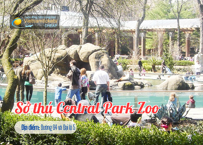 Sở thú Central Park là một thế giới thu nhỏ của thiên nhiên