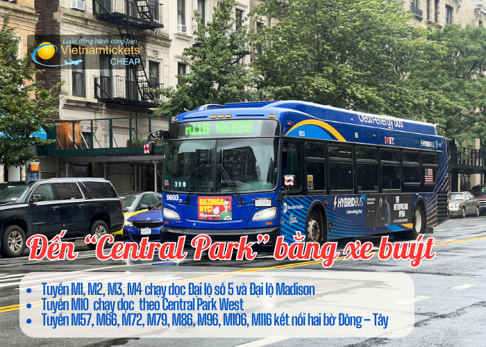 Đến công viên trung tâm New York bằng xe buýt