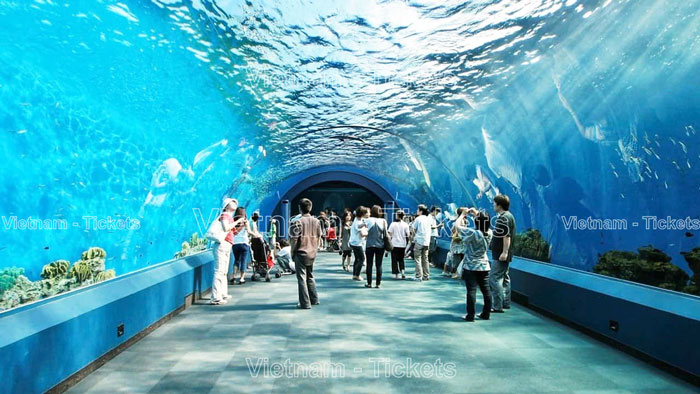 Underwater World chính là nơi có thể nhìn ngắm tận mắt hơn 5.000 loài động vật thủy sinh và các loài cá quý hiếm