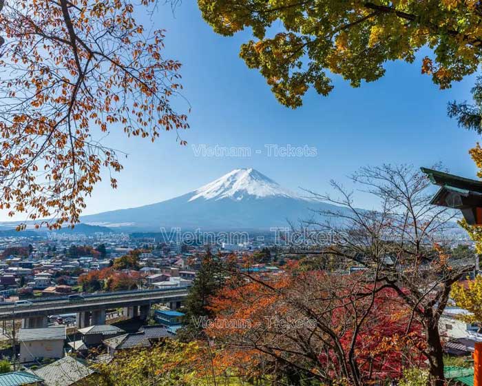 Có thể du lịch Tokyo vào bất kể thời điểm nào trong năm 