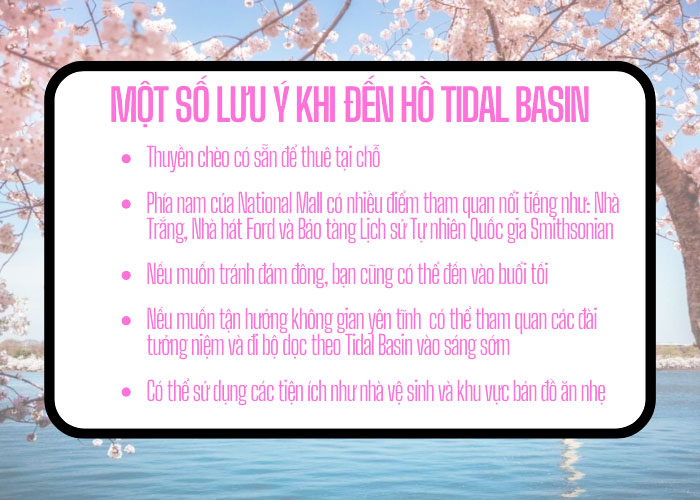 Một số lưu ý khi đến hồ Tidal Basin