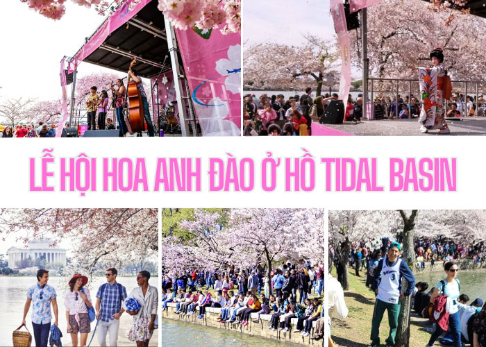 Lễ hội hoa anh đào tại Hồ Tidal Basin là một sự kiện đặc biệt và hấp dẫn tại Washington