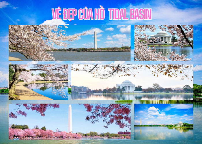 Hồ Tidal Basin là địa điểm kết nối các giá trị văn hóa và lịch sử quan trọng của Washington, DC