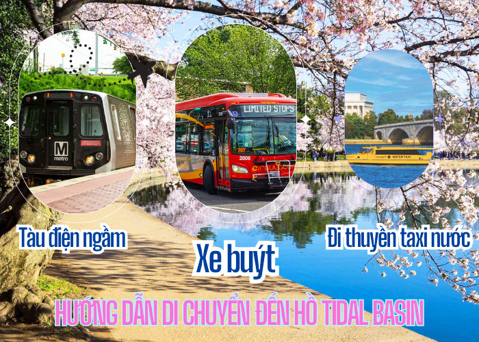 Để đến hồ Tidal Basin, phương tiện giao thông công cộng là lựa chọn tốt nhất