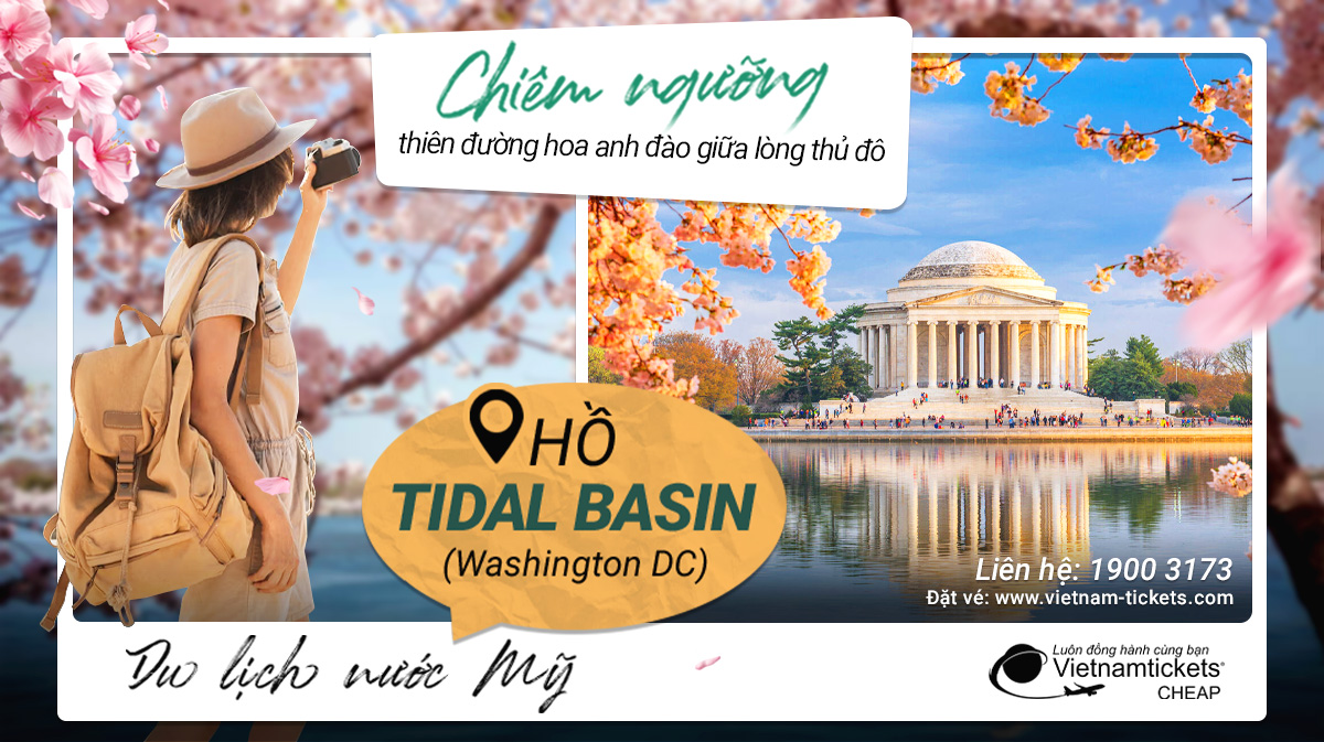 Tìm hiểu Hồ Tidal Basin - một phần của "sân trước của nước Mỹ"