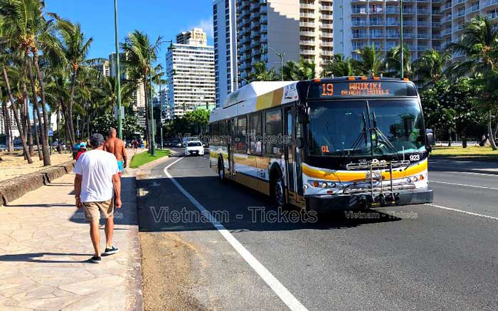 Nếu chỉ di chuyển xung quanh thành phố Honolulu, xe buýt là phương tiện phù hợp nhất 