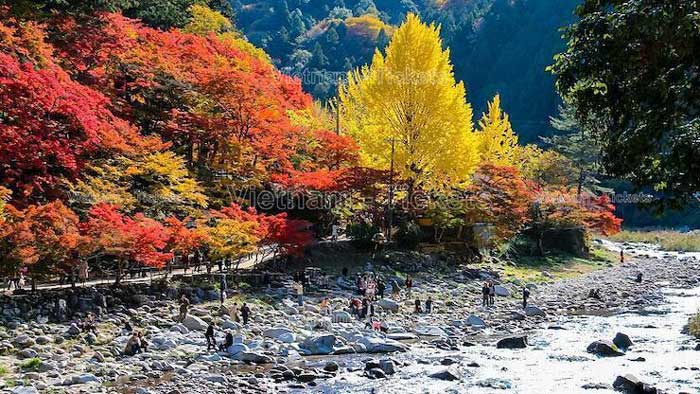 Thung lũng KoranKei thuộc vùng Chubu, tại đảo Honshu