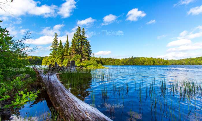 Canada vào hè từ khoảng giữa tháng 6 và kéo dài đến tháng 8