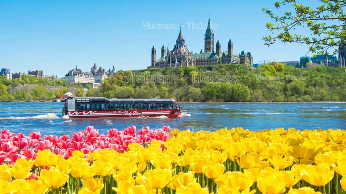 Mùa xuân Canada chính thức bắt đầu từ ngày 21 tháng 3