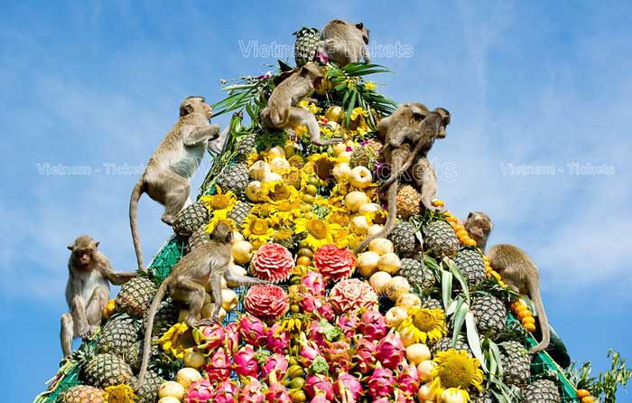 Lễ hội Khỉ Lopburi diễn ra hằng năm nhằm mục đích tôn vinh vị thần khỉ Hanuman của Ấn Độ giáo