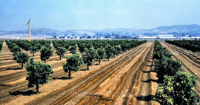 Thành phố Orange được thành lập vào năm 1871 trên một phần của Rancho Santiago de Santa Ana cũ