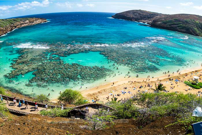  Hanauma là bãi biển chuyên dụng duy nhất tại đảo Oahu thuộc quận Honolulu