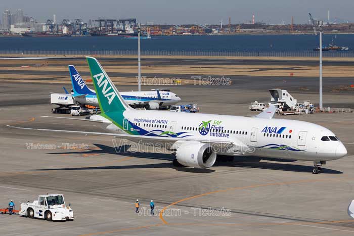 Quy định hành lý ký gửi All Nippon Airways bao gồm hành lý xách tay và hành lý ký gửi