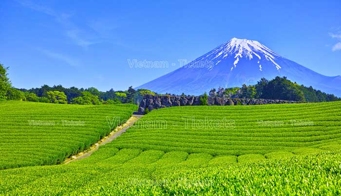 Chặng bay từ Việt Nam đến Shizuoka khởi hành từ Hà Nội mất khoảng 8 giờ 20 phút cùng China Eastern.