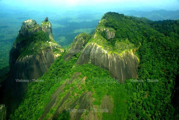 Điểm nổi bật tại Suriname là Khu bảo tồn thiên nhiên được UNESCO công nhận là Di sản thế giới