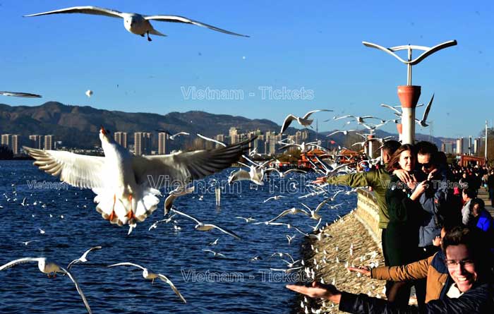 Có thể đặt vé máy bay từ Việt Nam đi Côn Minh Trung Quốc bất kỳ thời điểm nào trong năm