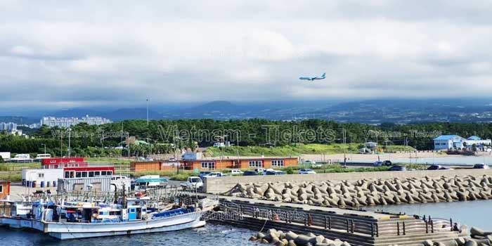 Thông tin chi tiết chặng bay, hãng bay từ Việt Nam đi Jeju mới nhất