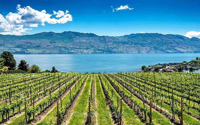 Kelowna nằm trên bờ phía đông của Hồ Okanagan ở trung tâm Thung lũng Okanagan