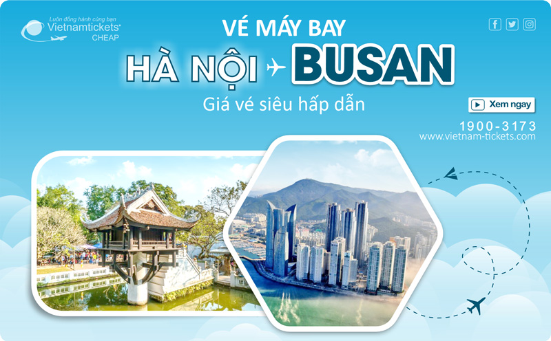 Vé máy bay Hà Nội Busan giá rẻ nhất từ 62 USD |Vietnam Tickets 