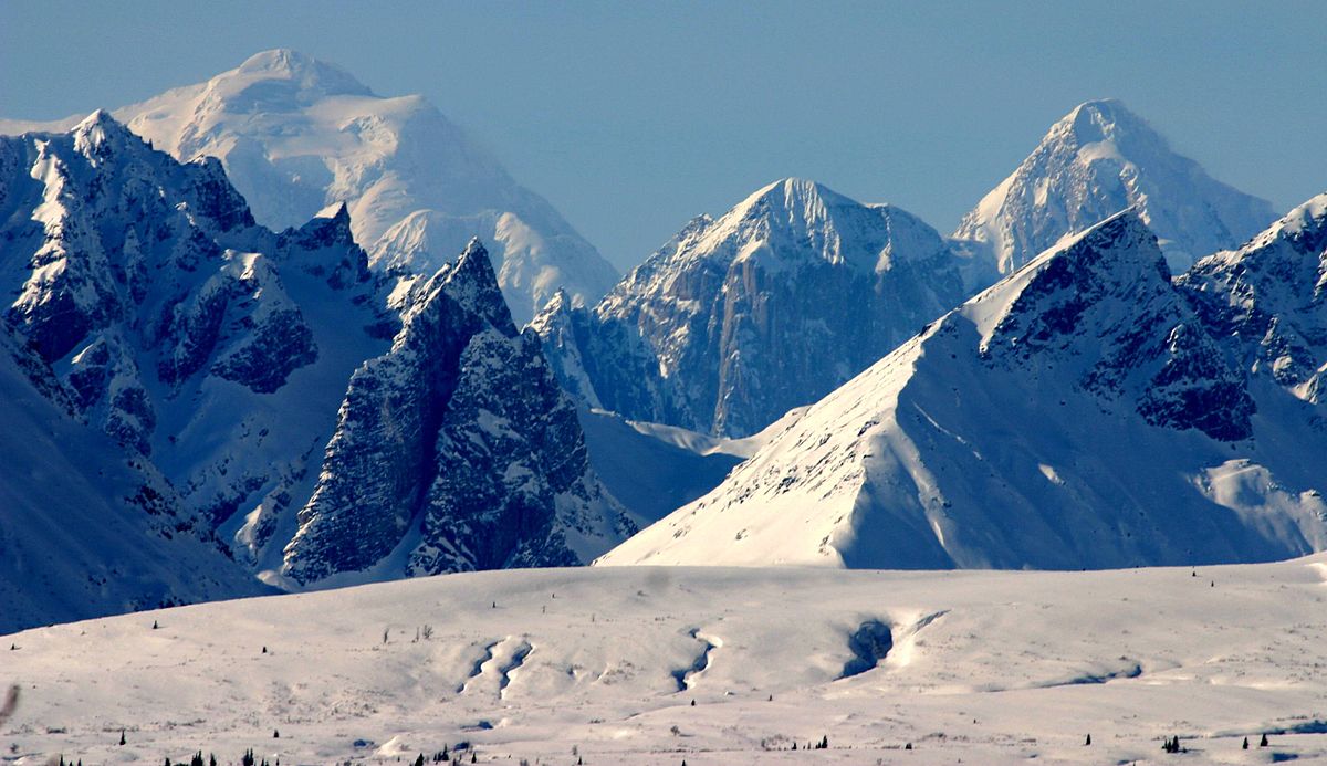Tại núi Denali - Alaska, bạn sẽ chiêm ngưỡng một Alaska xinh đẹp và ngắm nhìn thiên nhiên hoang dã