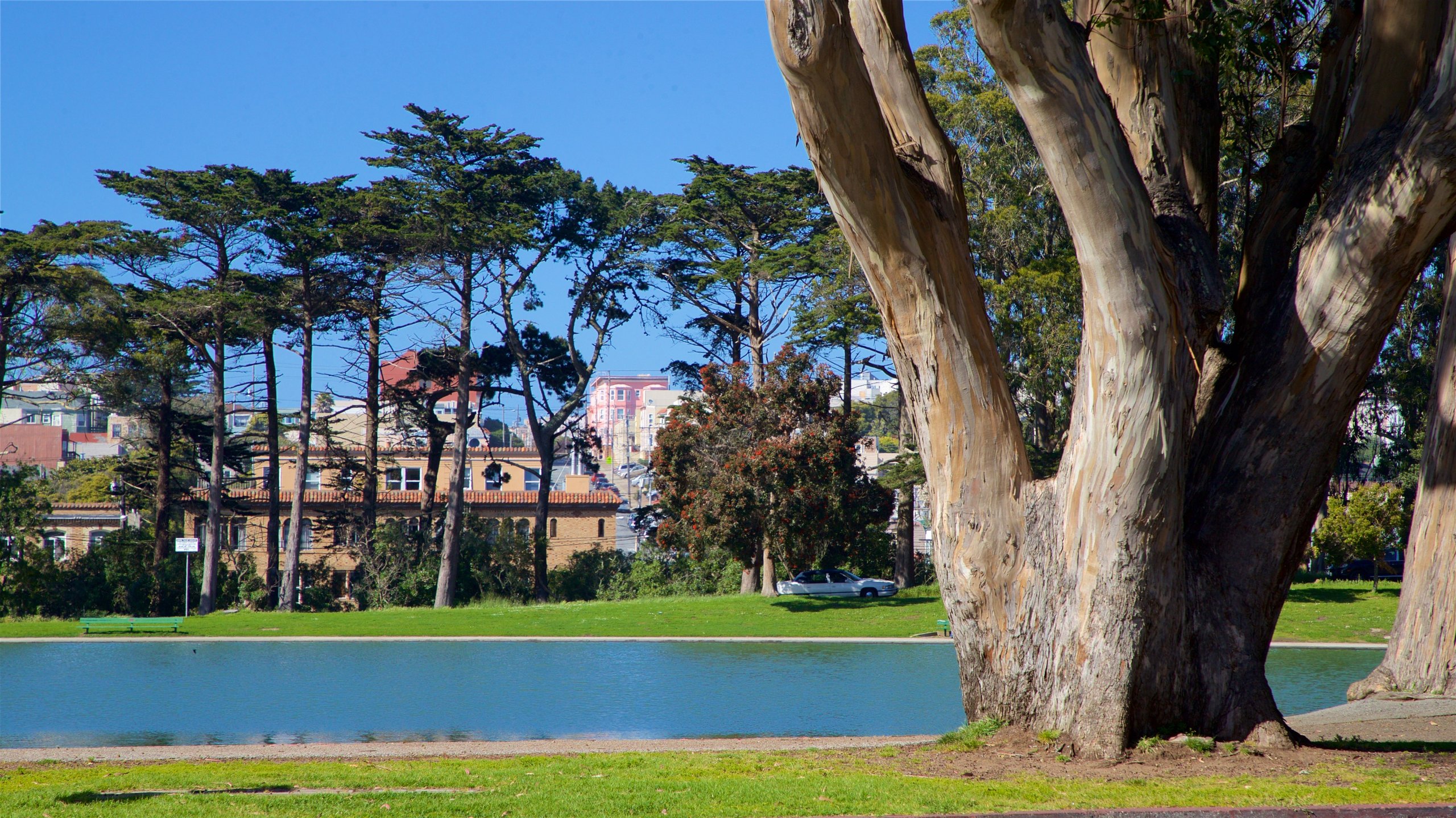 Công viên Golden Gate là điểm đến quen thuộc của nhiều du khách