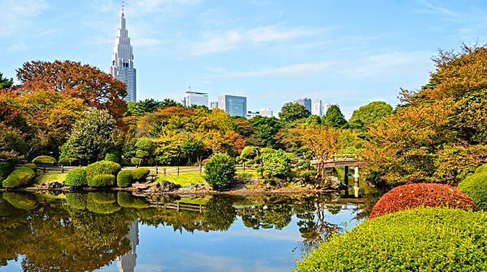 Vườn công viên quốc gia Shinjuku Gyoen ở Tokyo | Địa điểm du lịch Nhật Bản