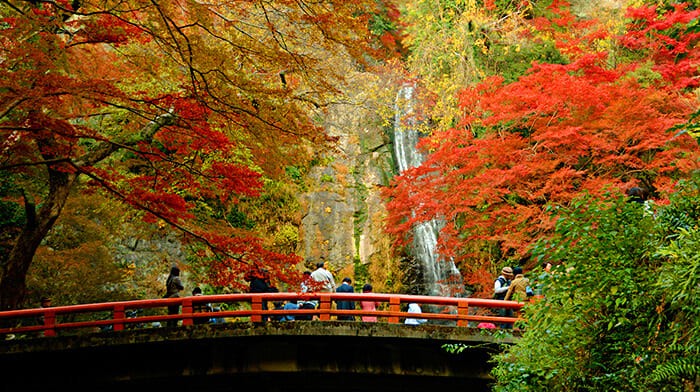 Công viên Minoo | Địa điểm du lịch Osaka