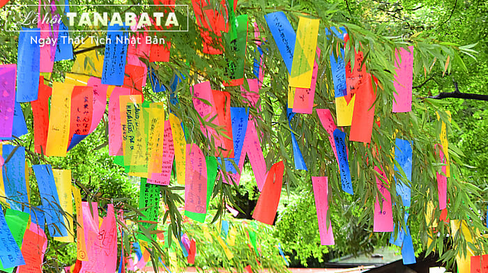 Lễ hội Tanabata (Lễ Thất Tịch) | Lễ hội ở Nhật Bản