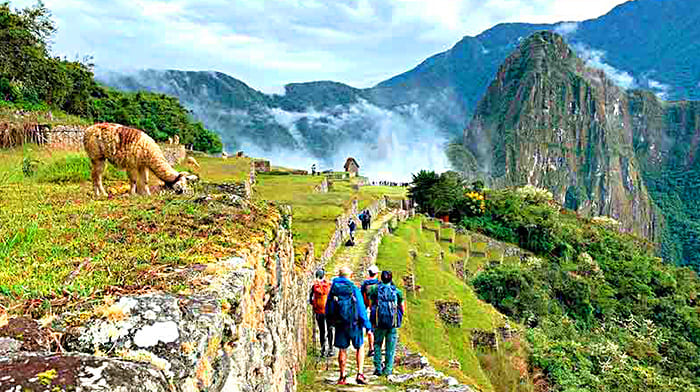 Đường mòn Inca của Machu Picchu trải dài rộng khắp cả 5 quốc gia Nam Mỹ